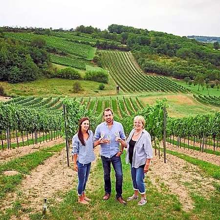 Weingut Burger Affittacamere *