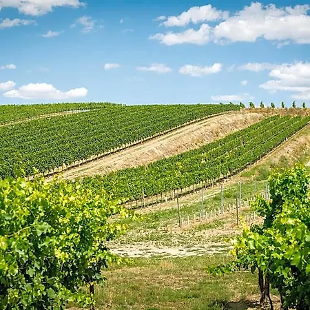 Weingut Burger Kalladorf