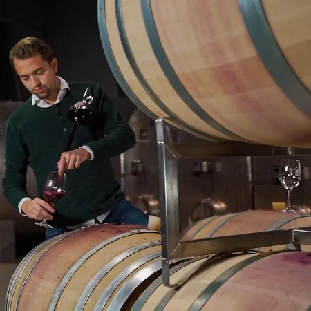 Weingut Burger Pensjonat *