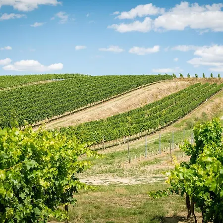 Weingut Burger Pensjonat Kalladorf