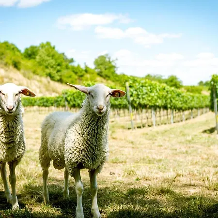 Weingut Burger Kalladorf