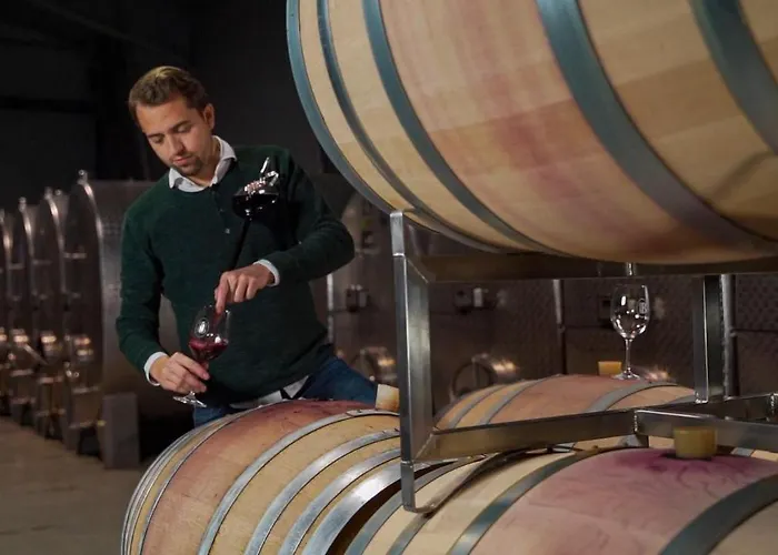 Weingut Burger Gasthuis *