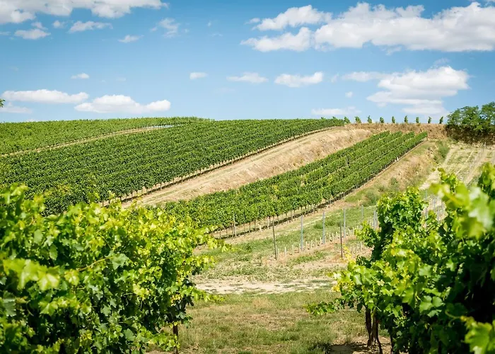 Weingut Burger Konukevi Kalladorf