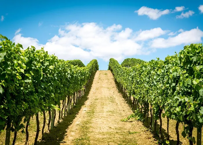 Weingut Burger Gasthuis Kalladorf